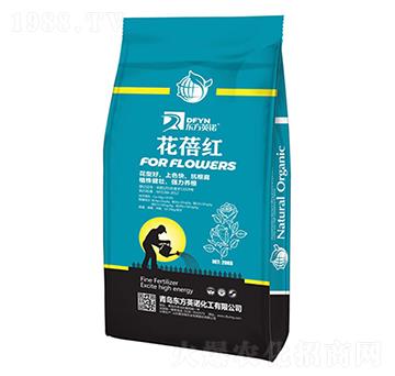 �����t-�|��Ӣ�Z