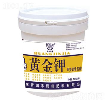 �ך����S�����-�S���