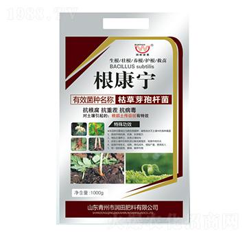 �ݲ�ѿ�ߗU��-������-