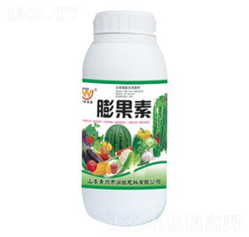 �����-�������