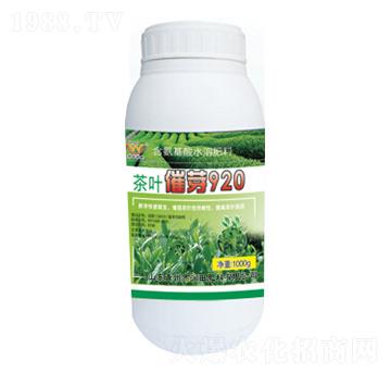 ���~��ѿ920-�����