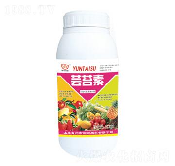 �|̦���~���-�������