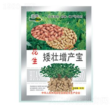 �����������a(ch��n)��-�����