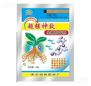 �������焩-�������