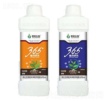 365������ˣ�ƿ��-�ں�����