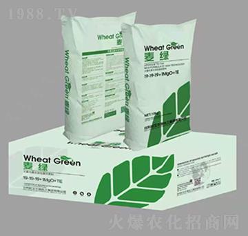 ����Ԫ��ˮ�ܷ���19-19-19+MgO+TE-���G-��(y��u)�{��