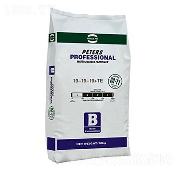 ��Ԫ�ͺ��x�ӷ�19-19-19+TE-��(y��u)�{��