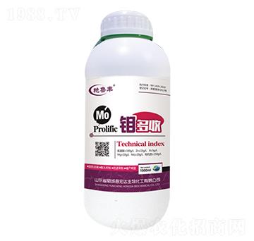 �f����-�G���S-���_����