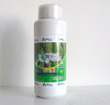 С�����þ��A��-������