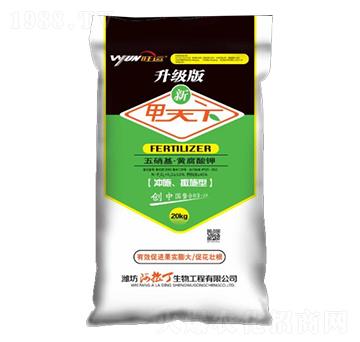 ���������S�����-����