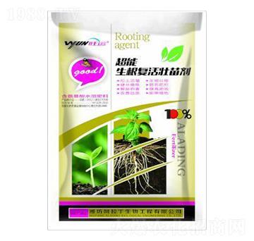 ������(f��)����焩-������