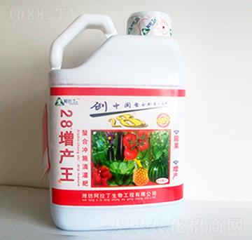 ���a(ch��n)�����V�V��-������