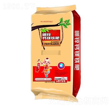 ���\�}�V�F��-������