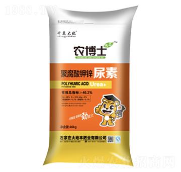 �۸�����\����-����S