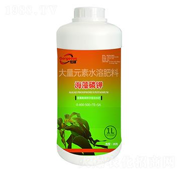 ������⛴���Ԫ��ˮ�ܷ�0-400-500+TE+SA-��ٝ