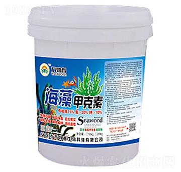 ����׿���-�f�ﴺ