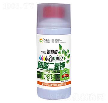 ��������������-�f�ﴺ