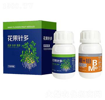 ����ᘶ�-������