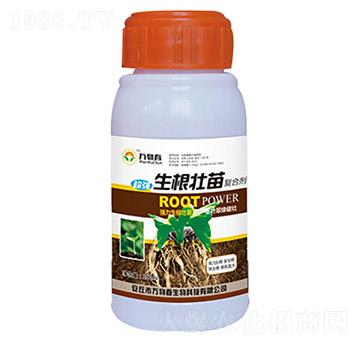 100ml���������(f��)�τ�-�f�ﴺ