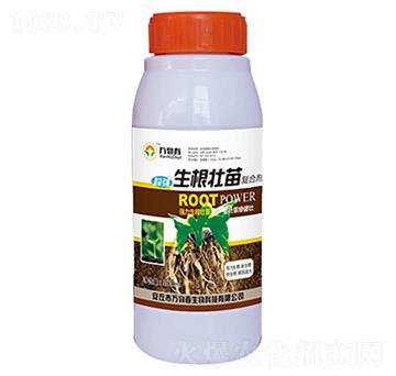 1000ml���������(f��)�τ�-�f(w��n)�ﴺ