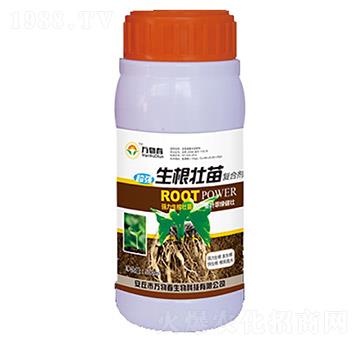 500ml���������(f��)�τ�-�f(w��n)�ﴺ