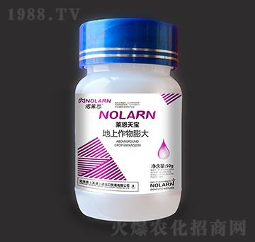 �R���쌚-�����������-�Z�R��