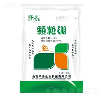 �w����-ِ��-ǧ������