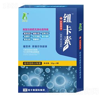 ��(x��)�������أ�32g��-