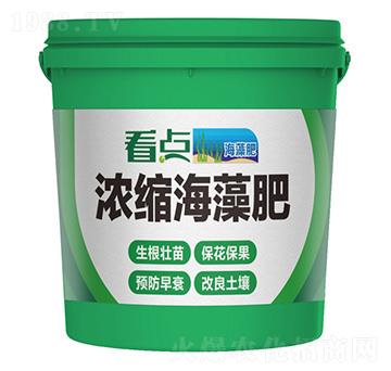 ��s�����-���c