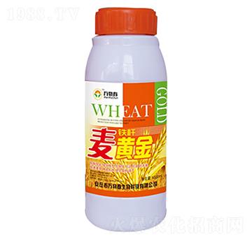 1000ml�F�U���S��-�f�ﴺ