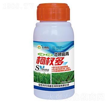 100ml�Ѹ������辶�-�f�ﴺ