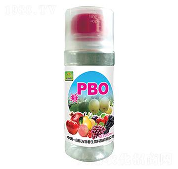 PBO-�f�ﴺ