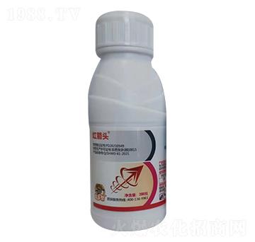 4.9%�׾Sʭ����-�t���^-�̎��r�I(y��)