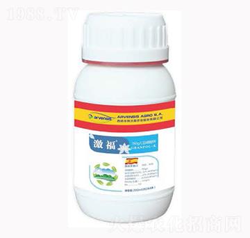 ����-¡�ꠖ