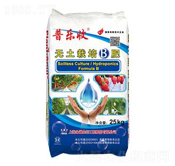 �o(w��)��������(zhu��n)��B��-�՘�(l��)