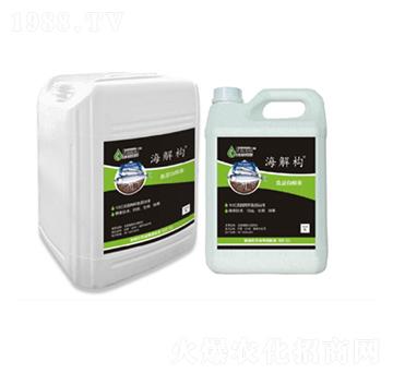 ���☋(g��u)�ߝ�s�~����-������