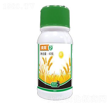 ����-ɽ���r�Y