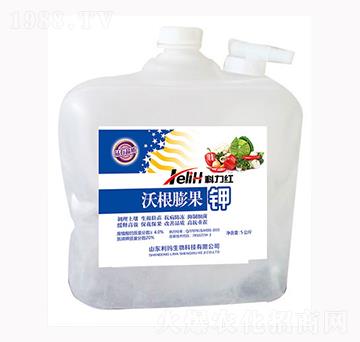 5�����ָ�����-�����t-��������