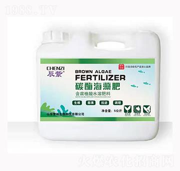 ����̼ø�����-�׼{����