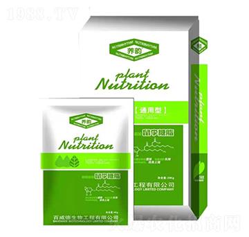 ͨ����������֬-�B(y��ng)�-