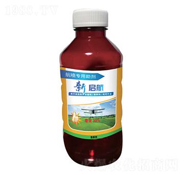 ������������-����-�峣