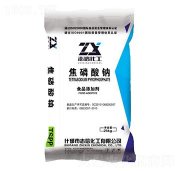 �������cTSPP-��(chu��ng)��(li��n)�S