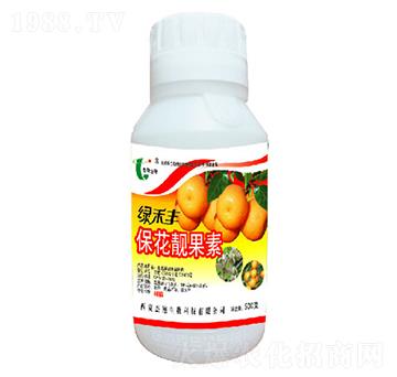 �����n����-�G���S-��������