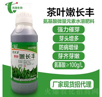 ���~���L�S-��������