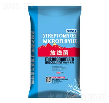 ������΢�������-�帣��