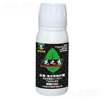 �������ÿݲݡ�����ѿ�ߗU��-��֮��-�������r(n��ng)