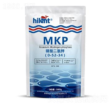 ��������0-52-34-���{��