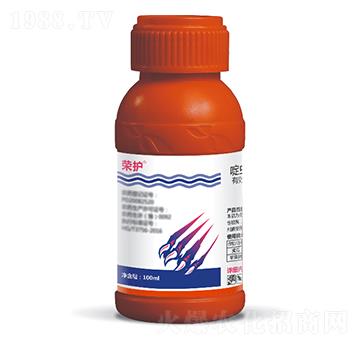 5%��x(ch��ng)�ߘs�o(h��)-���{(l��n)��