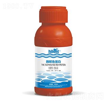 ø���~����-���{(l��n)��