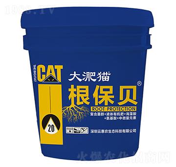 ����؈����ؐ-�ƻ��r(n��ng)